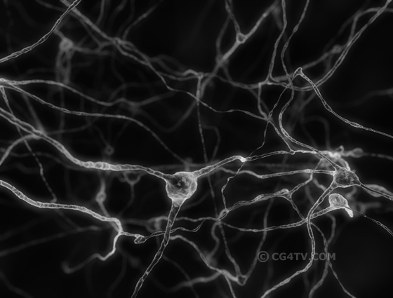 Salsa Neurons